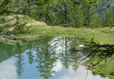 Trail Walking Marmora - Valle Marmora - lago Resile - Photo