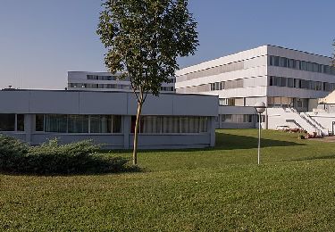 Tour Zu Fuß Gemeinde Hollabrunn - »tut gut«-Schritteweg - Photo