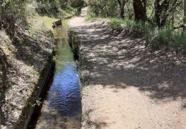 Trail Walking Carcès - chutes du Caramis - Photo