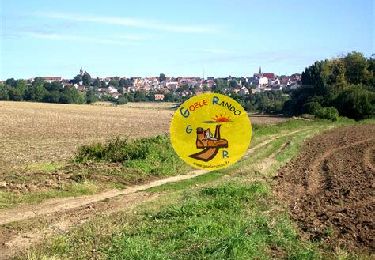 Randonnée Marche Dammartin-en-Goële - SM_Dammartin-en-Goele-(PR Gérard de NERVAL) 8.4Km - Photo