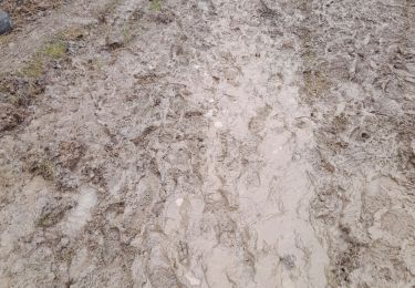 Tocht Stappen Durbuy - Marche ADEPS 11KM250 à  Bohon. - Photo