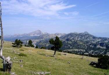 Excursión Senderismo Romeyer - rochers de plautret - Photo