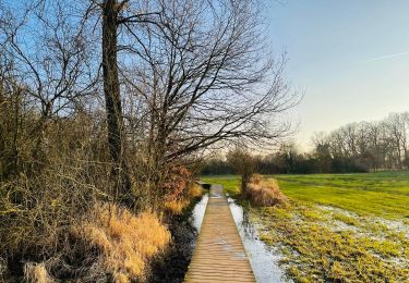 Trail Walking Alken - La vallée du ruisseau Mombeek à Alken - Photo
