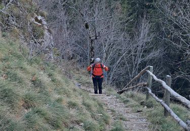 Trail Walking Les Déserts - REVARD / LA FECLAZ: PERTUISET - MALPASSANT - CROC - LE SIRE - Photo