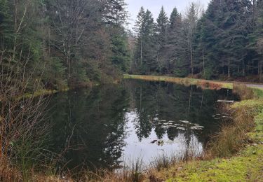 Tour Wandern Saint-Benoît-la-Chipotte - Corbė - Photo