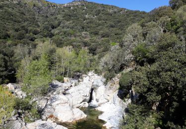 Tour Wandern Sainte-Lucie-de-Tallano - Mare a Mare 5 Santa lucia du talano - Burgl - Photo