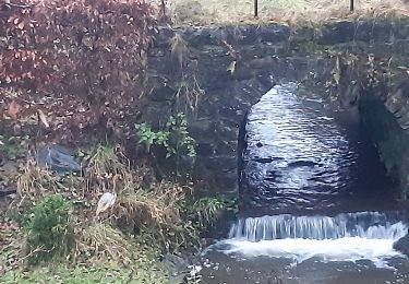 Trail Walking Sprimont - lincé  . flagothier . betgné . haie des pauvres  .  wachibou . lincé  - Photo