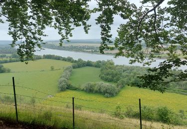 Tour Wandern Montigny - 20250515 Montigny Henouville - Photo