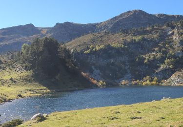 Trail Walking Mijanès - col de l'Egue par les etgs de Balbone et les Rebassoles (10.2021) - Photo