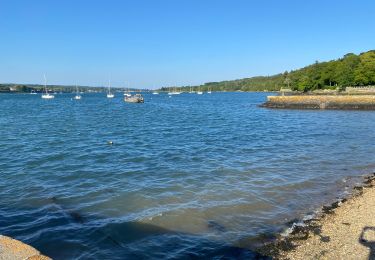 Tour Laufen Plougastel-Daoulas - Course Plougastel  - Photo