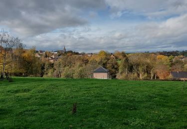 Randonnée Marche Namur - Malonne 171122 - Photo