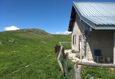 Randonnée A pied Magasa - Malga Casina, Bocca di Cablone, Malga Tombea - Photo