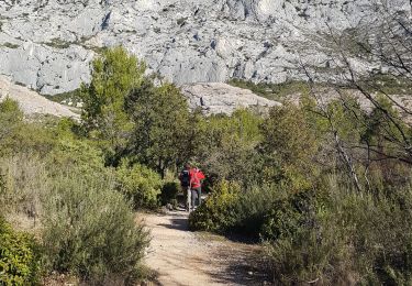 Trail Walking Saint-Antonin-sur-Bayon - pas du clapier et tracé vert - Photo