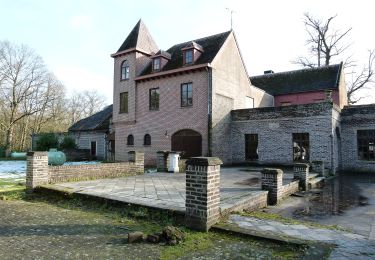 Randonnée A pied Pelt - Grote Hof en Hobos Blauwe ruit - Photo