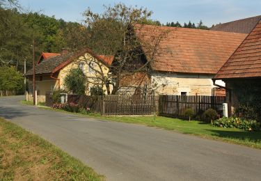 Percorso A piedi Kněžmost - Drhleny - Pod Malou Sněhurkou - Photo