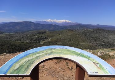 Excursión Senderismo Sainte-Colombe-de-la-Commanderie - Roc Majorque (444m) Castelnou au départ de Ste Colombe de la Commanderie - Photo