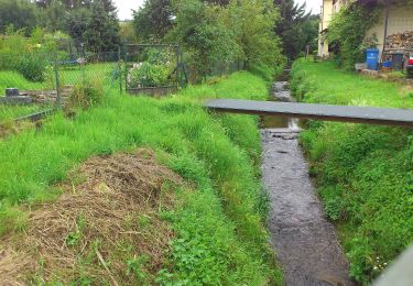 Excursión A pie Höchst im Odenwald - Rundwanderweg Mümling-Grumbach 2 : Hardt-Berg-Weg - Photo