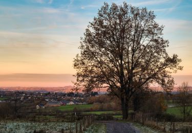 Trail Walking Verviers - 30112024 - Photo