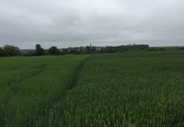 Tour Wandern Mareil-sur-Mauldre - Mareil sur Mauldre à Neauphle le vieux  - Photo