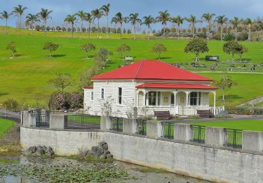 Randonnée A pied Hibiscus and Bays - Te Araroa alternative route - Photo