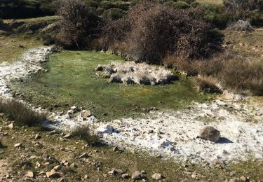 Tour Wandern Saint-Fortunat-sur-Eyrieux - St Fortunat - Photo