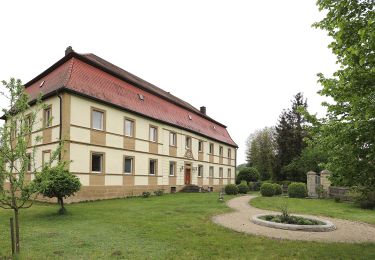 Randonnée A pied Lichtenfels - Nothelferweg - Photo