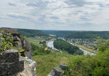 Excursión Senderismo Dinant - De Dinant à Godinne par le GR126 - Photo