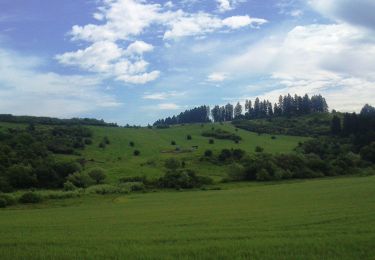 Excursión A pie okres Žilina - Náučný chodník Slnečné skaly - Photo