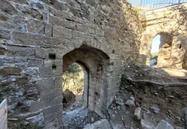 Tour Wandern Hyères - Chateau Saint Bernard - Photo