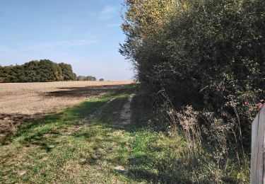 Tour Wandern Amboise - 0 Amboise - Photo