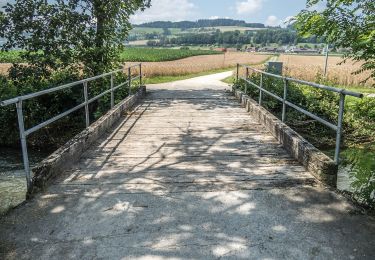 Tour Zu Fuß Sursee - Suhrenuferweg - Photo