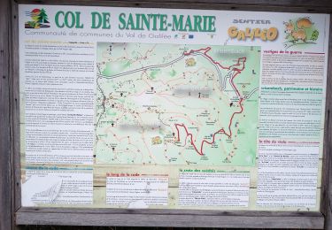 Excursión Senderismo Sainte-Marie-aux-Mines - Col de Ste Marie aux Mines (27/8/2020) - Photo