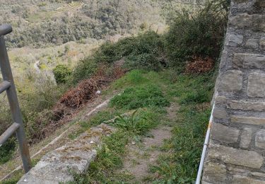 Percorso Marcia Perinaldo - apricale  - Photo