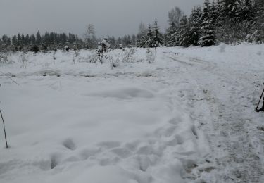 Tour Wandern Bastnach - Marvie - Photo