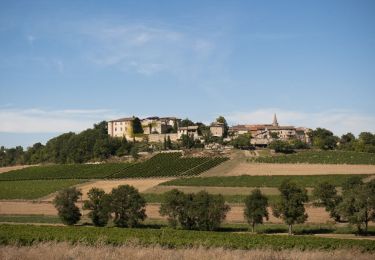 Trail Nordic walking Senouillac - Sentier des 4 châteaux Senouillac - Photo