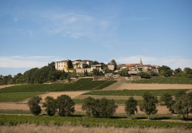 Percorso Camminata nordica Senouillac - Sentier des 4 châteaux Senouillac - Photo