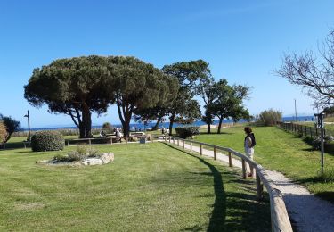 Trail Walking La Londe-les-Maures - 20210508 p'tit tour  - Photo