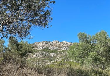 Excursión Senderismo Torroella de Montgrí - Castel de mont gris variante - Photo