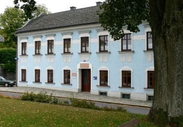 Tocht Te voet Sankt Veit im Mühlkreis - Kapellen-Wanderweg - Photo