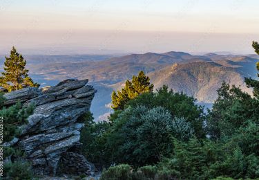 Tour Wandern Saint-Gervais-sur-Mare - Tour du Caroux Arsel  - Photo