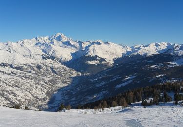 Tocht Te voet La Plagne-Tarentaise - Boucle du Carroley - Photo