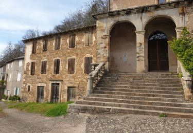 Excursión Senderismo Coupiac - martrin en reel - Photo