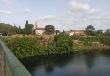 Tour Rennrad Coufouleux - coufouleux l'Isle sur tarn - Photo