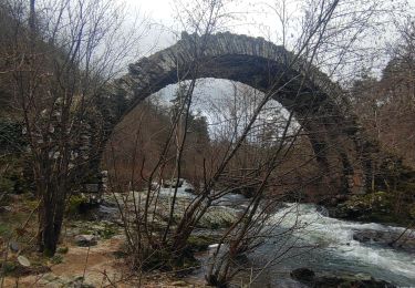 Tocht Stappen Saint-Sylvestre - st Sylvestre/ pont Romain  - Photo