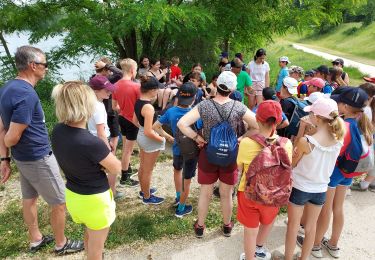 Trail Road bike Tarbes - caminadour velo - Photo