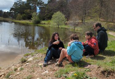 Trail Walking Bayons - Descente lac des Monges - Photo