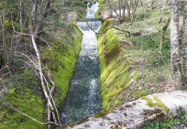 Trail Walking Vif - Le Pieu en circuit  - Photo