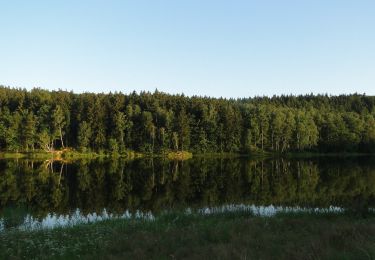 Tocht Te voet Wieża - szlak - Photo