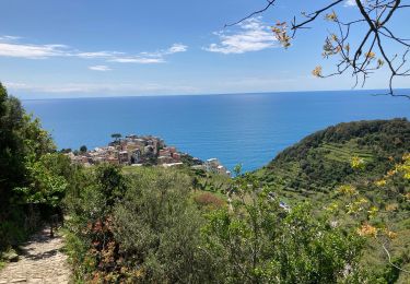 Percorso Marcia Riomaggiore - Manarola-Corniglia - Photo