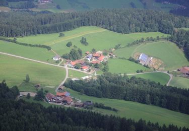 Tour Zu Fuß Drachselsried - Zielwanderweg 2 Arnbruck - Wiesing - Photo